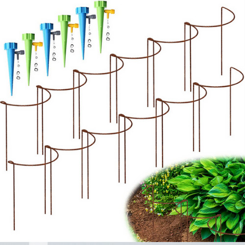 12pack rusty bow plant - rusty, support