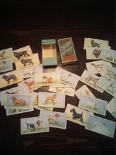 Woodbine Cigarette Cards