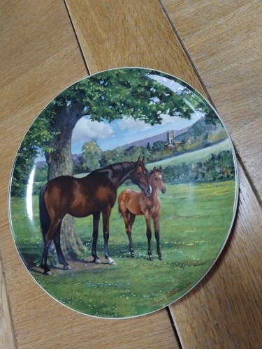 Vintage spode plate - plate, the