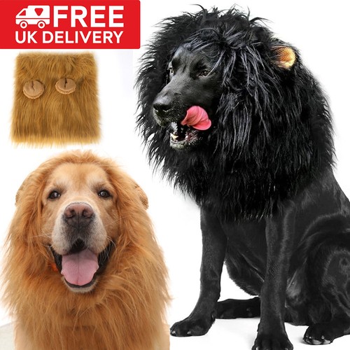Pet costume lion mane - pet, for