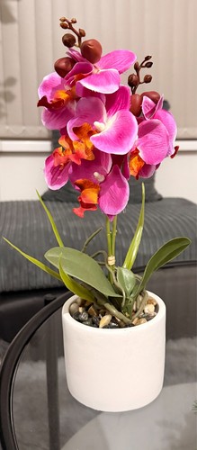 Lifelike artificial orchid - artificial, in