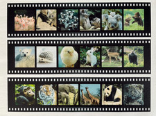 18 Images Personalised Photograph Film Reel Cake Decorations Edible Negatives