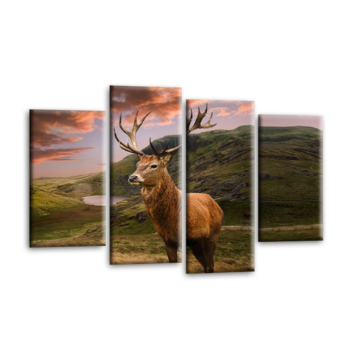 Scottish highland stag wall - scottish,