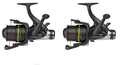 Shakespeare beta carp - beta,