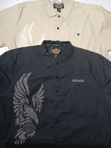 Harley davidson screaming - 2,