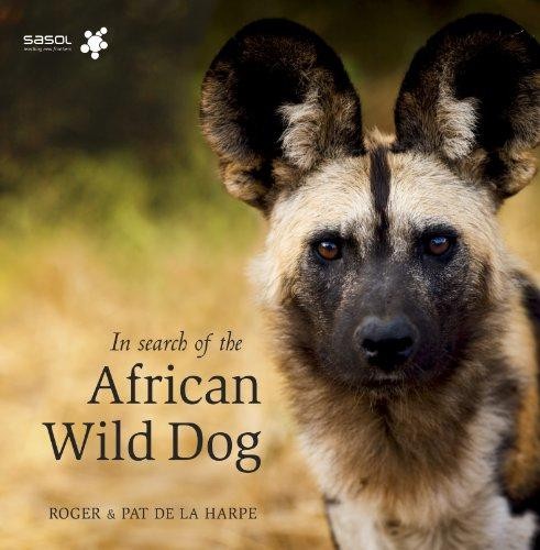 Search the african - african, wild