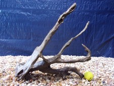 Large Driftwood 16"x15"x09"