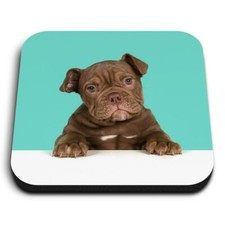 Square MDF Magnets - Cute Old English Bulldog Puppy Dog  #21422