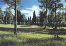 D195630 Kent Bedgebury National Pinetum Judges C 10099 X 1989