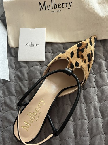 Mulberry leopard print kitten - leopard,
