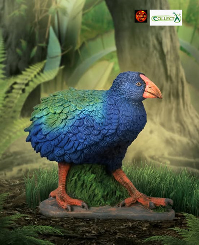 Takahe new zealand flightless - takahe,