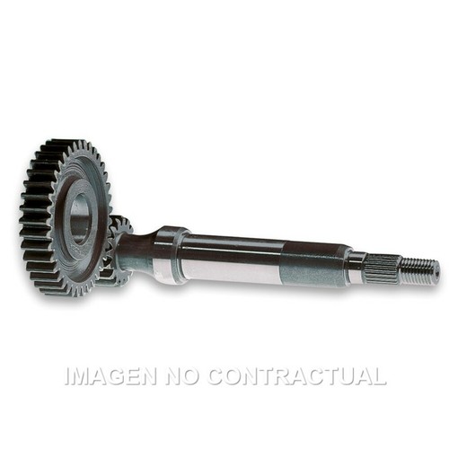 Development axis primary - axis,