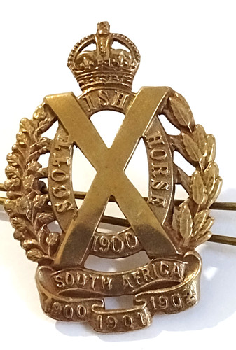 Ww1 scottish horse imperial - horse,