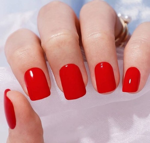 Bright red normal length - 24,