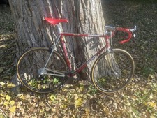 Vintage Scapin Road Frameset -