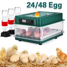 24 / 48x Home Eggs Digital