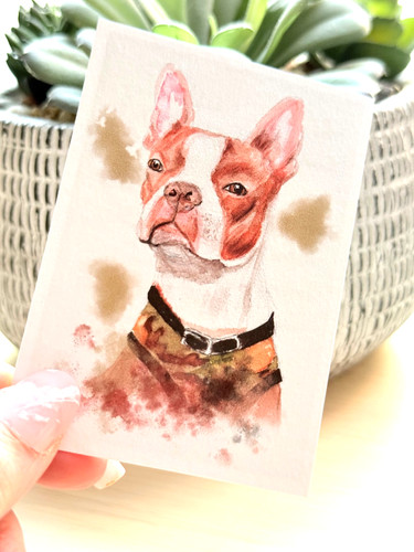 Aceo print red boston - print, |