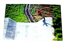 SUN. SKATE. SEVENTIES