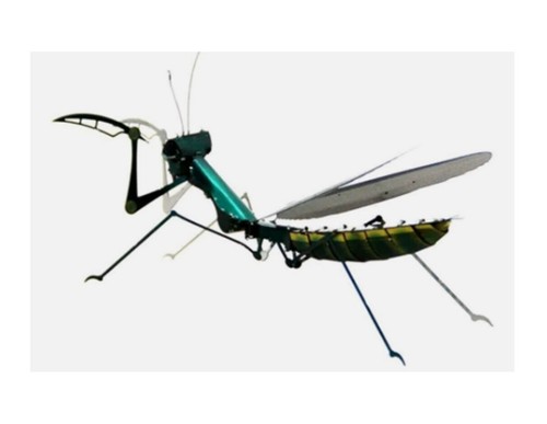 Praying mantis metal - metal, model