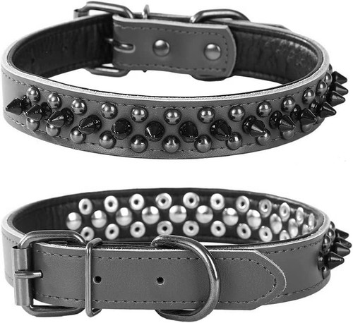Spiked studded dog - dog, collar