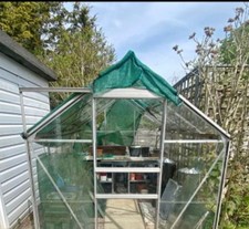 Halls 8 X 6 Popular Greenhouse