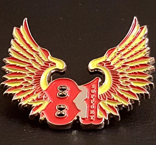 Metal pin badge - metal,