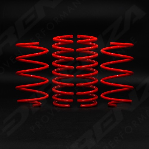 Direnza suspension lowering - direnza,