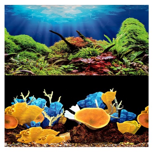 Aquarium fish tank - aquarium, background