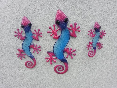 Set glass gecko wall - of,