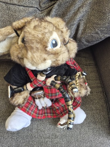 Vgc build bear - build, hop