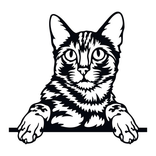 Bengal cat peeking face vinyl - cat,