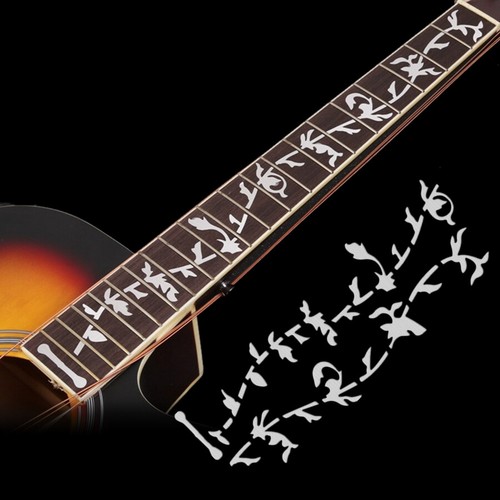 Electric acoustic guitar - electric,
