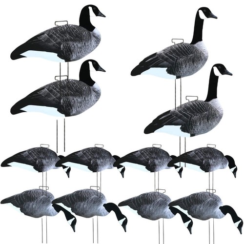 Silhouette canada goose decoy - goose,