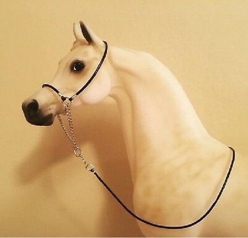 Arabian arab slip halter - arabian,