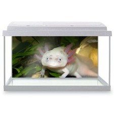 Fish Tank Background 90x45cm -