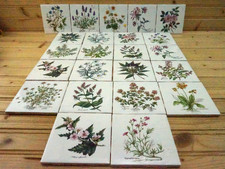 Botanic Garden 23 Wall Tiles