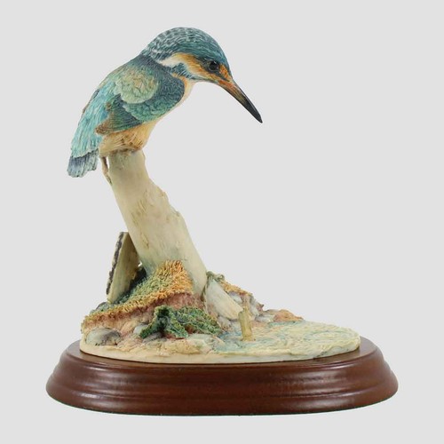 Kingfisher border - 1),