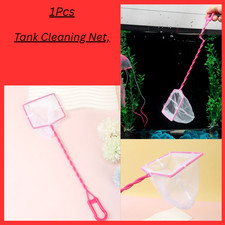 Square Shape Pink Fish Tank