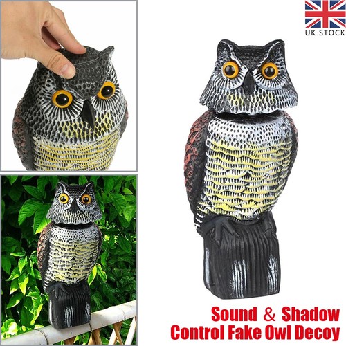 Real owl decoy deterrent 360 - real, 360°
