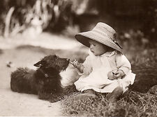 SCOTTISH TERRIER CHARMING