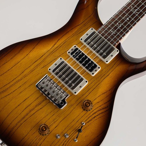 Paul reed smith prs swamp - paul,