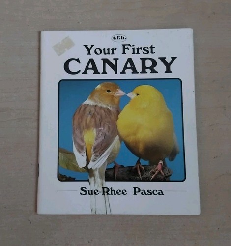 Your first canary - your,