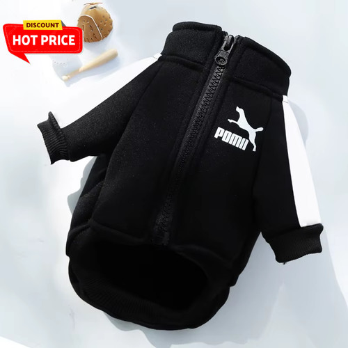 Baseball dog jacket winter - baseball,