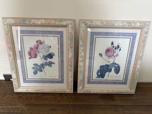 Framed botanical art - 2,