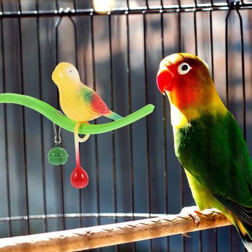 Plastic bird stand perch - bird,