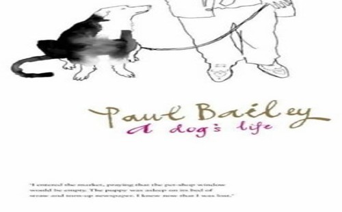 Dog life bailey paul - a, life,