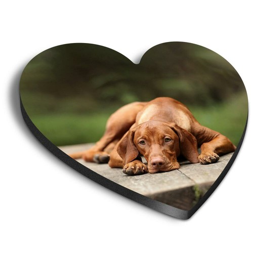 Heart mdf magnets large - heart,