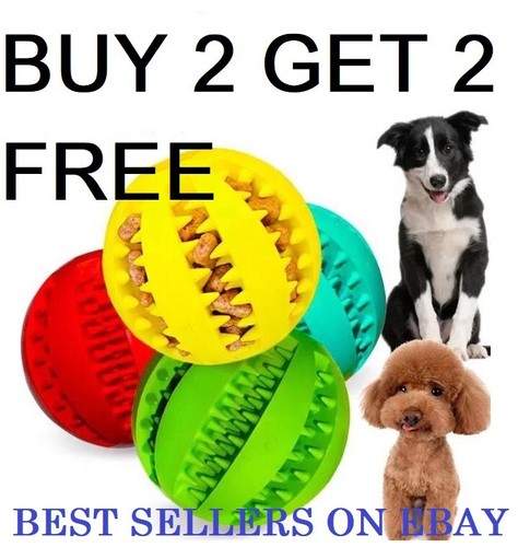 Pet ball dog - pet,