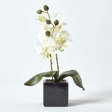 Artificial Cream Orchids in Square Pot with Real Wood Stems & Green Leaves