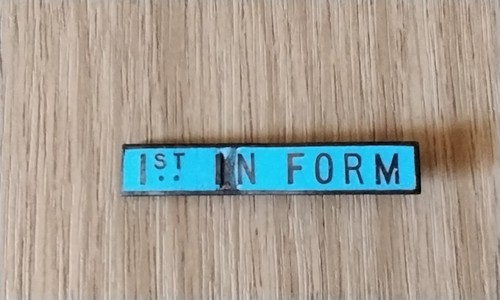 Vintage 1930 school enamel - vintage,